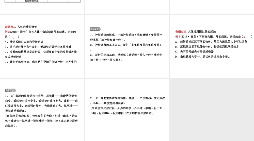 （东营专版）中考生物 专题五复习课件-人教版初中九年级全册生物课件