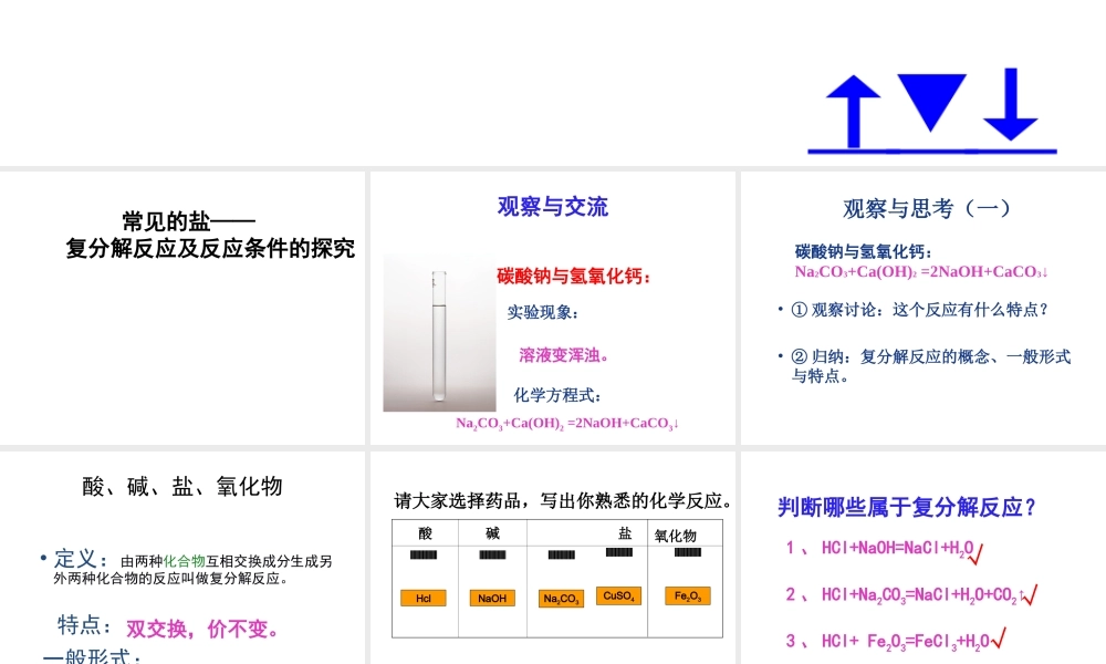 安徽省淮北市梅苑学校九年级化学上册《常见的盐》课件 新人教版