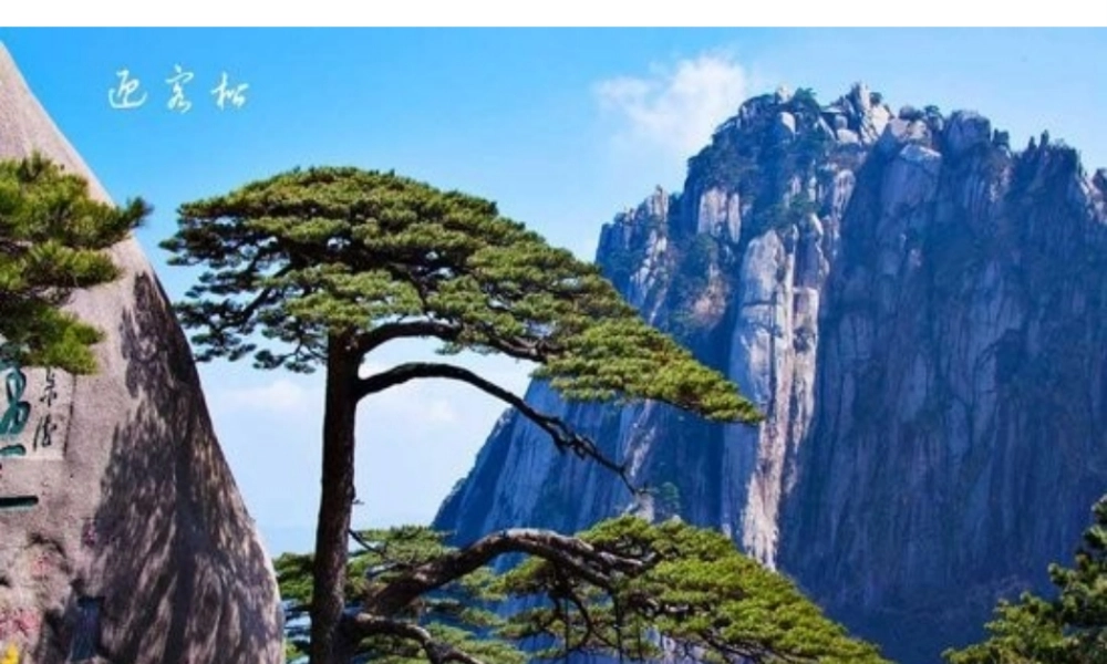 安徽省淮北市梅苑学校九年级化学上册《探究水垢的主要成份》课件 新人教版