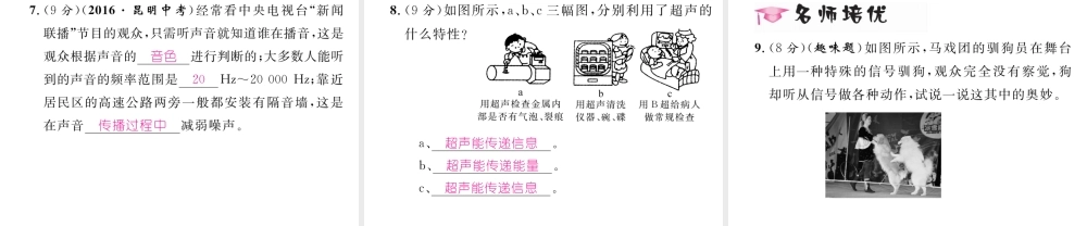（云南专版）秋八年级物理全册 3.3 超声与次声作业课件 （新版）沪科版-（新版）沪科版初中八年级全册物理课件