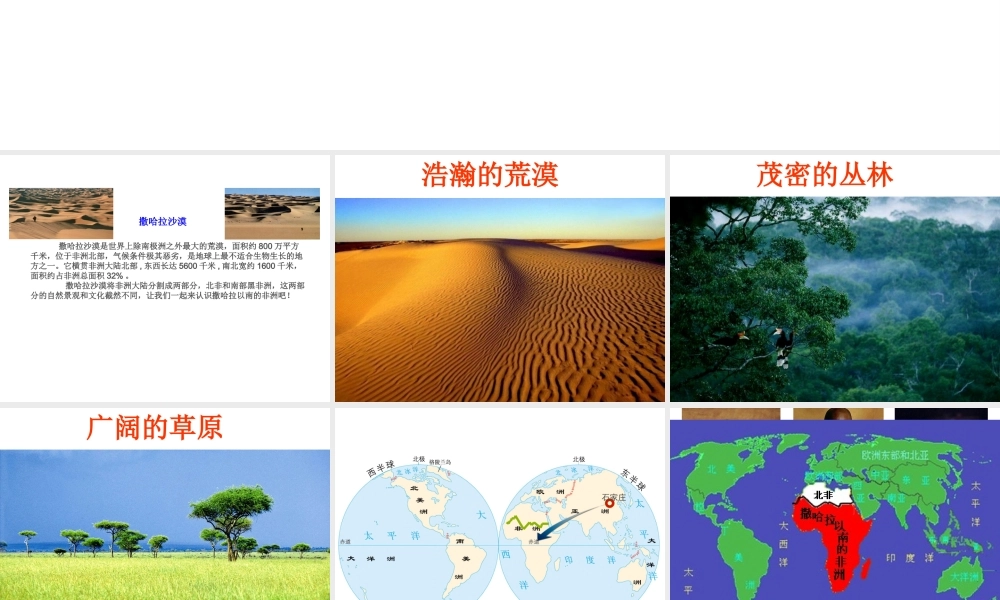 安徽省淮北市七年级地理下册 第八章 第三节 撒哈拉以南的非洲课件 （新版）新人教版-（新版）新人教版初中七年级下册地理课件