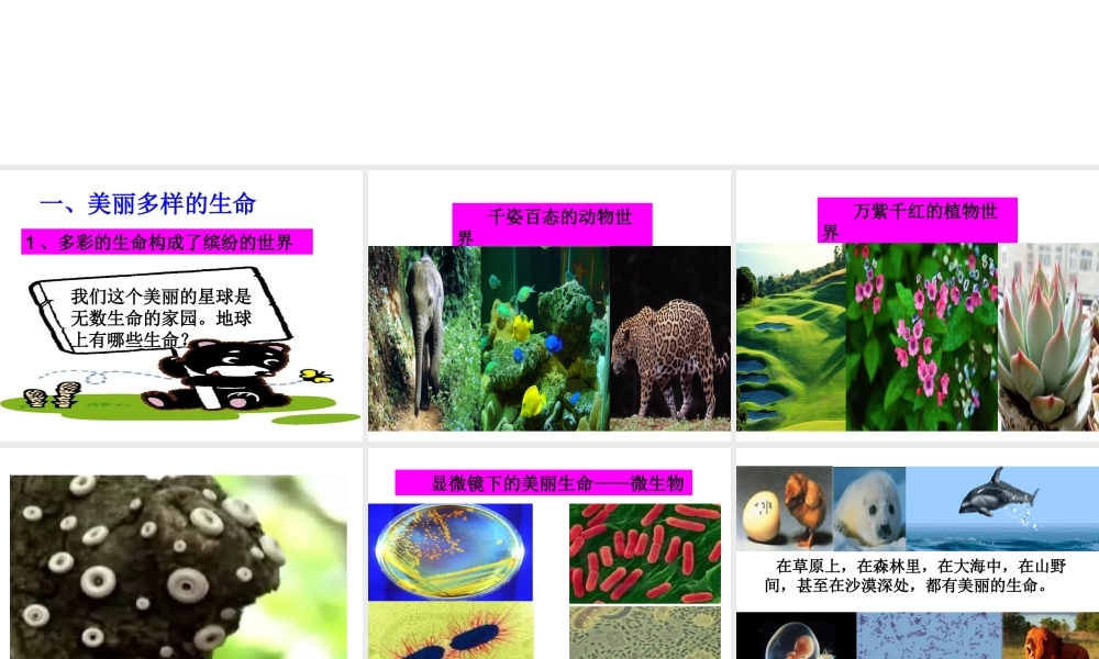 （2016年秋季版）七年级道德与法治下册 第五单元 热爱生命 5.1 大自然的奇迹 第1框 美丽多样的生命课件 粤教版