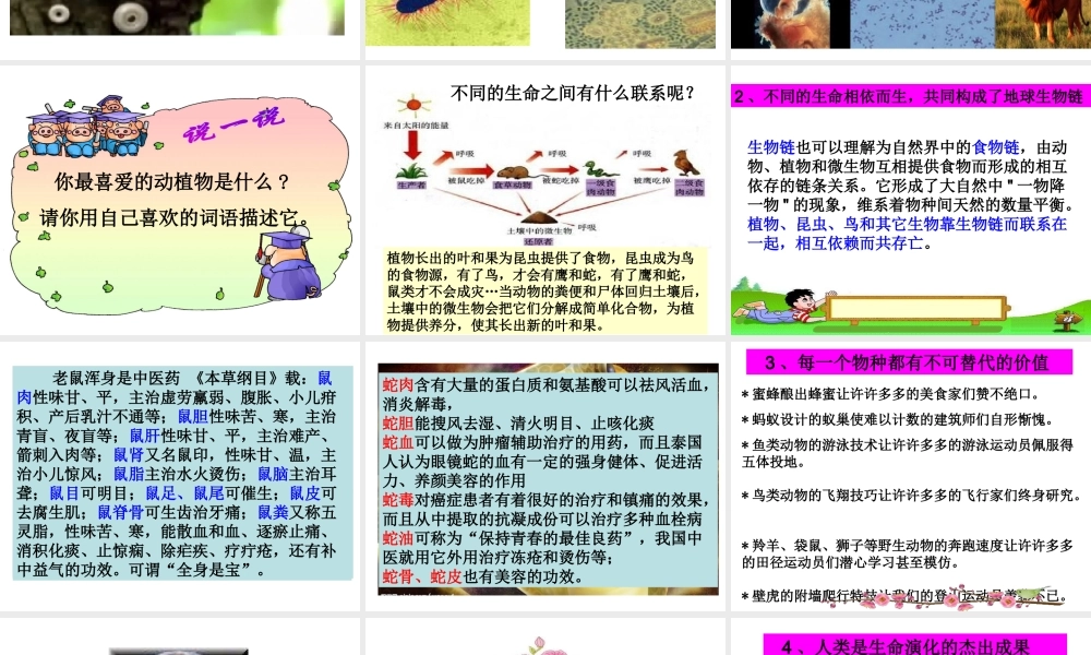 （2016年秋季版）七年级道德与法治下册 第五单元 热爱生命 5.1 大自然的奇迹 第1框 美丽多样的生命课件 粤教版