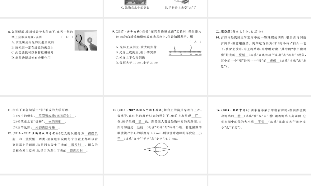 （云南专版）秋八年级物理全册 4 多彩的光达标测试卷课件 （新版）沪科版-（新版）沪科版初中八年级全册物理课件
