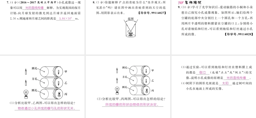 （云南专版）秋八年级物理全册 4.1 光的反射 第1课时 光的传播作业课件 （新版）沪科版-（新版）沪科版初中八年级全册物理课件