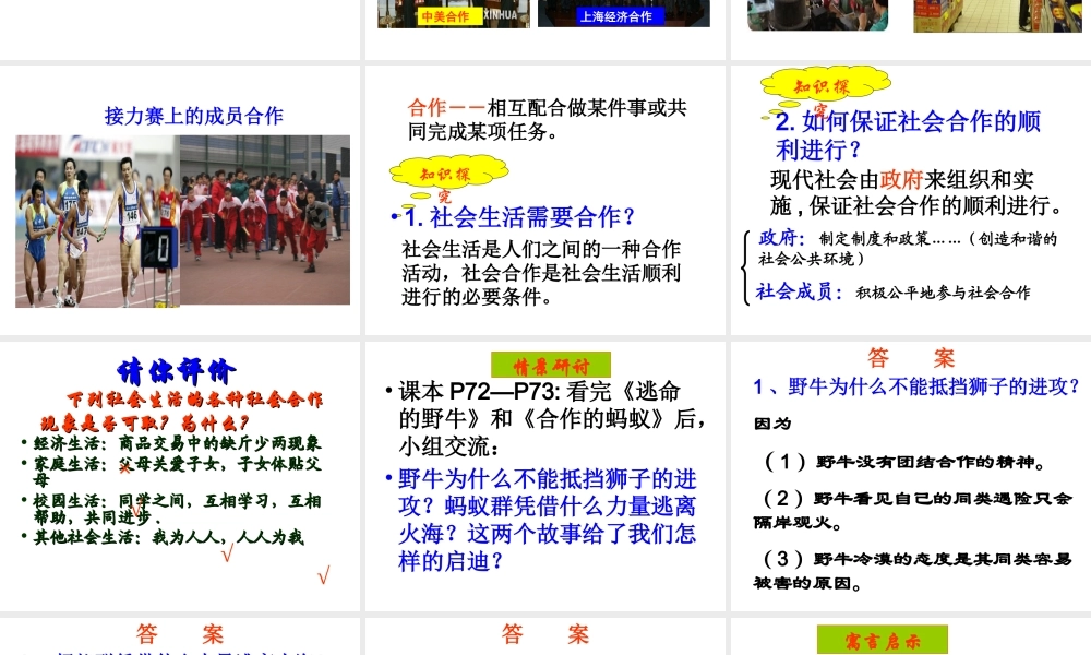 安徽省大顾店初级中学八年级政治下册 8.1 社会合作与公平课件 粤教版