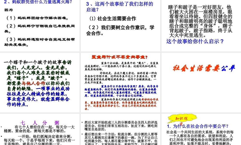 安徽省大顾店初级中学八年级政治下册 8.1 社会合作与公平课件 粤教版