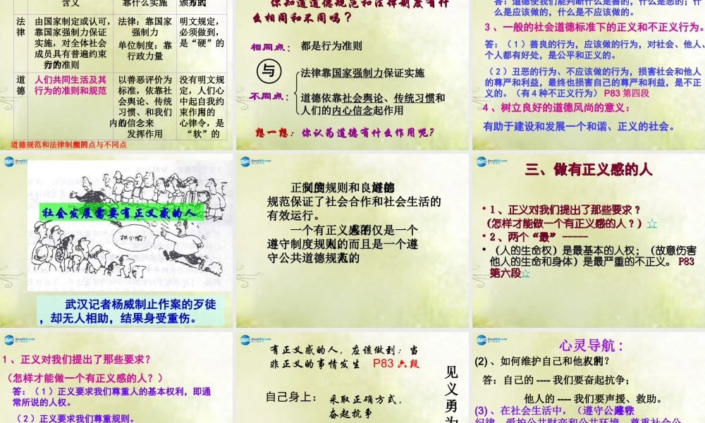 安徽省大顾店初级中学八年级政治下册 8.2 社会规则与正义课件 粤教版