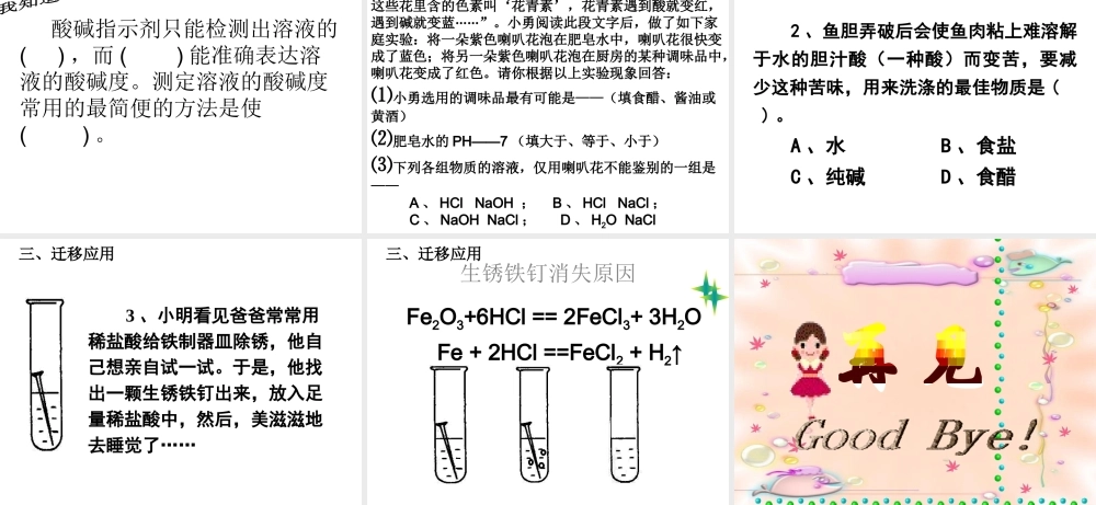 安徽省淮北市人民路九年级化学下册 10 酸和碱教学课件 （新版）新人教版-（新版）新人教版初中九年级下册化学课件