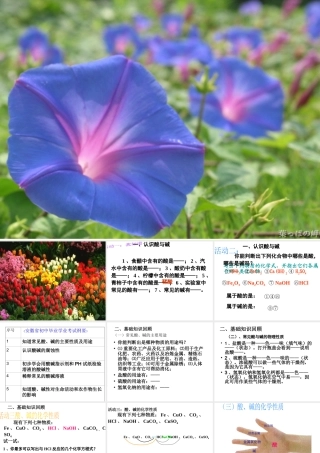 安徽省淮北市人民路九年级化学下册 10 酸和碱教学课件 （新版）新人教版-（新版）新人教版初中九年级下册化学课件