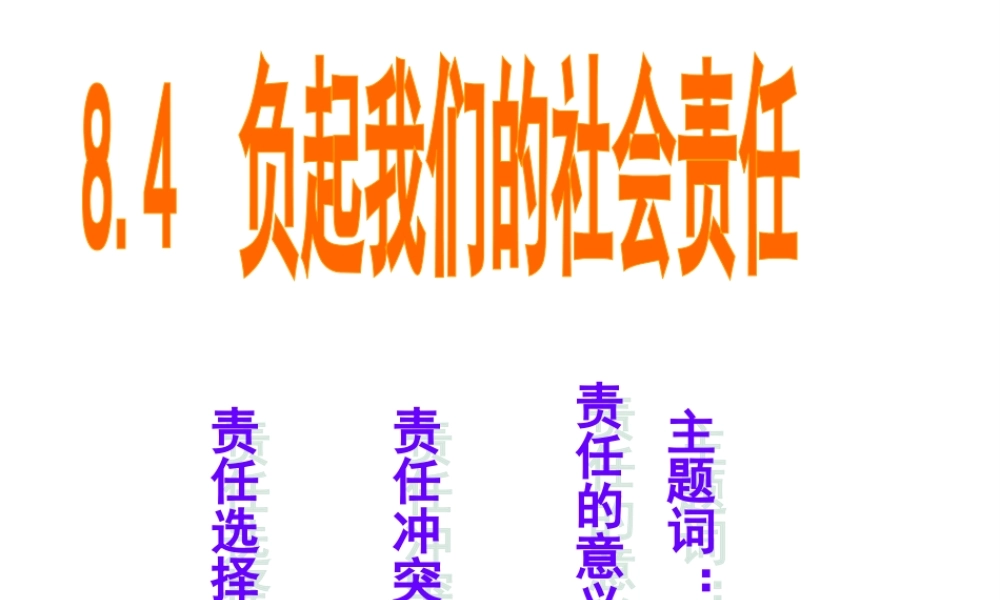 安徽省大顾店初级中学八年级政治下册 8.4 负起我们的社会责任课件 粤教版