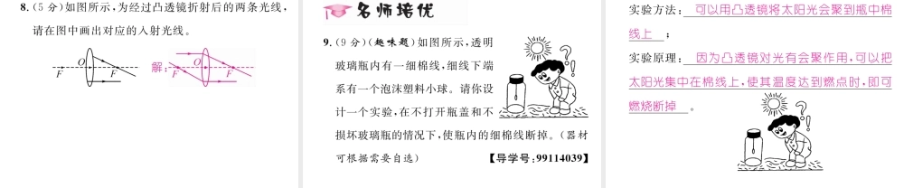 （云南专版）秋八年级物理全册 4.5 科学探究 凸透镜成像 第1课时 凸透镜作业课件 （新版）沪科版-（新版）沪科版初中八年级全册物理课件