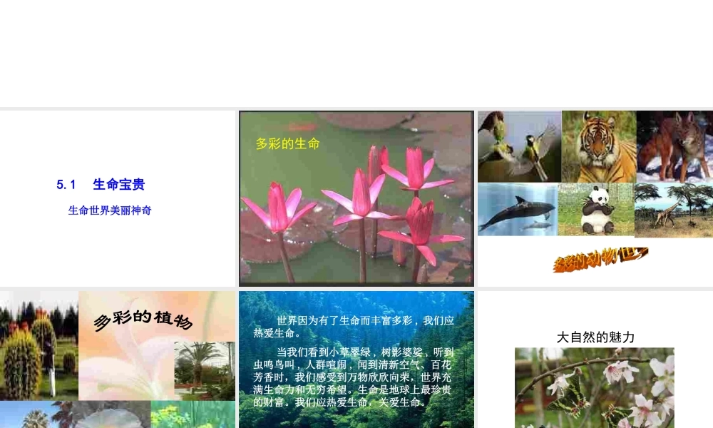 安徽省大顾店中学七年级政治下册 5.1 生命宝贵课件 粤教版