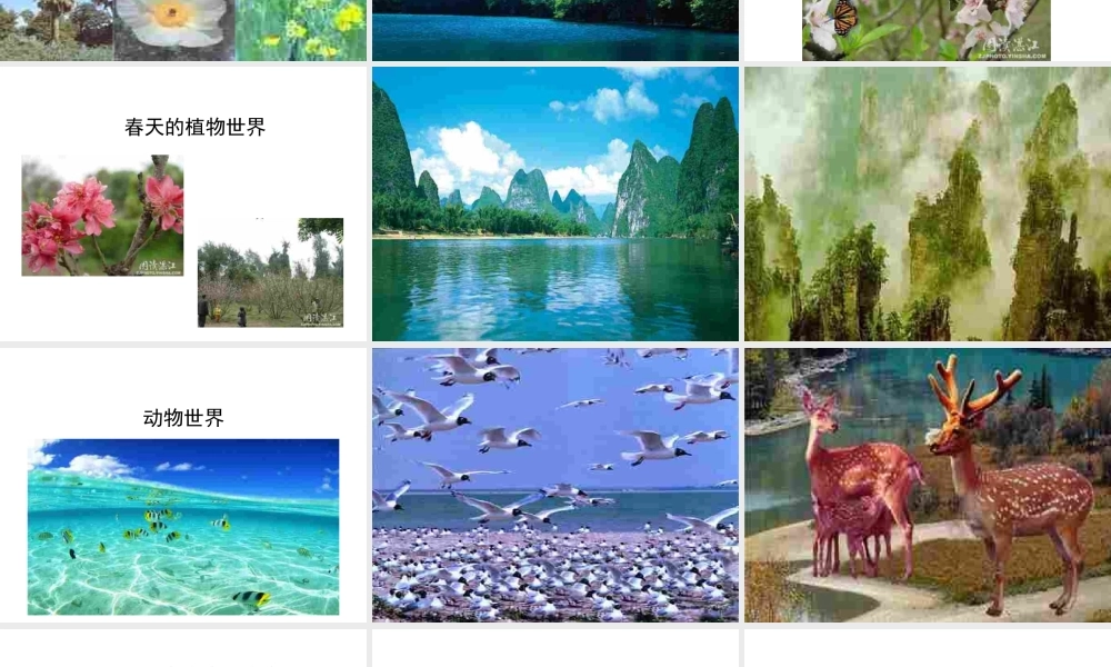 安徽省大顾店中学七年级政治下册 5.1 生命宝贵课件 粤教版