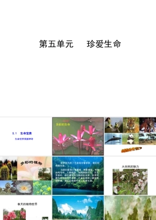 安徽省大顾店中学七年级政治下册 5.1 生命宝贵课件 粤教版