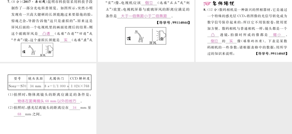 （云南专版）秋八年级物理全册 4.6 神奇的眼睛 第2课时 透镜的应用作业课件 （新版）沪科版-（新版）沪科版初中八年级全册物理课件
