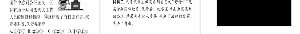 （云南专版）中考道德与法治总复习 第1篇 真题体验 满分演练 八下 第4单元 崇尚法治精神课件-人教版初中九年级全册政治课件
