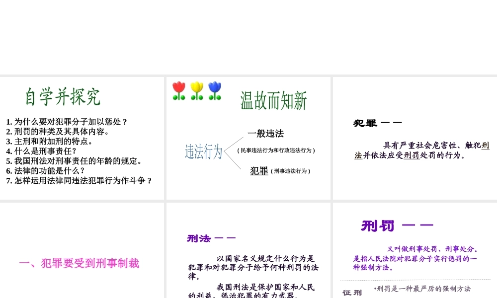 安徽省大顾店中学七年级政治下册 8.2 严守法律课件 粤教版