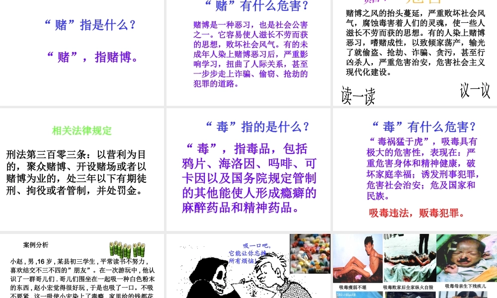 安徽省大顾店中学七年级政治下册 8.3 拒绝诱惑课件 粤教版