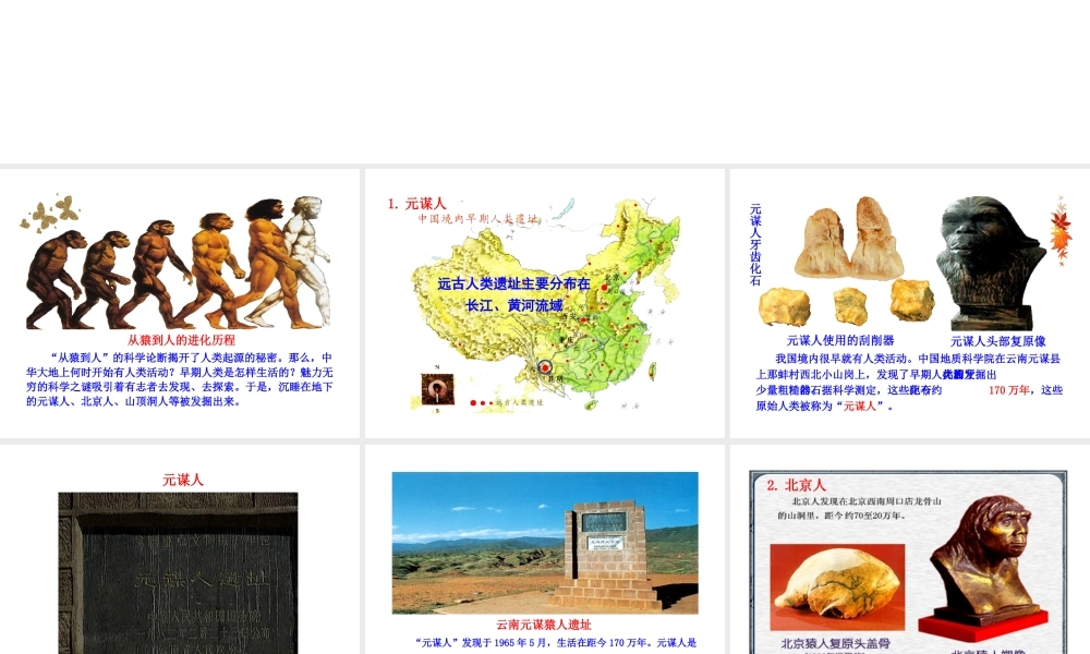 （2016年秋季版）七年级历史上册 第一单元 第1课 中国境内的早期人类课件 冀教版
