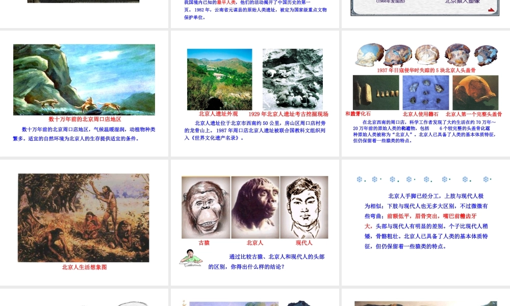 （2016年秋季版）七年级历史上册 第一单元 第1课 中国境内的早期人类课件 冀教版