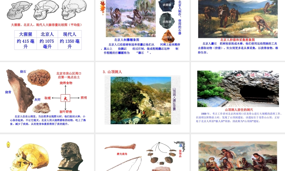 （2016年秋季版）七年级历史上册 第一单元 第1课 中国境内的早期人类课件 冀教版