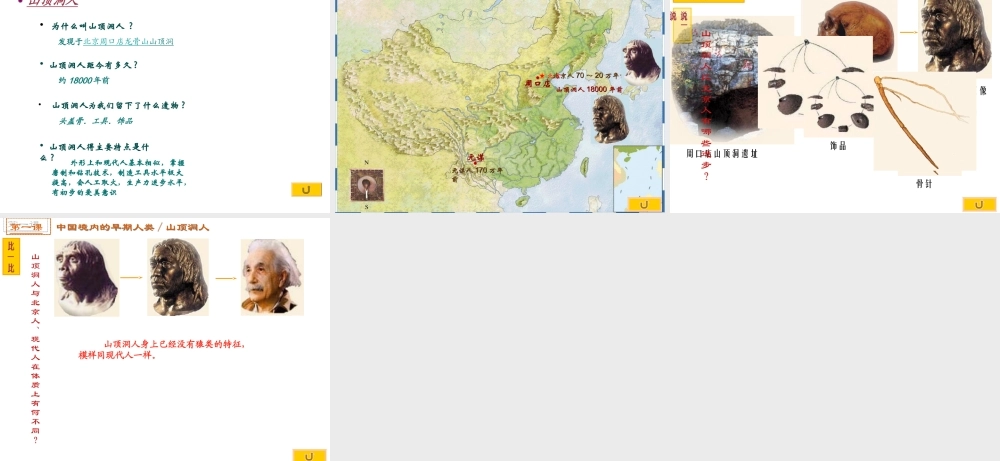 （2016年秋季版）七年级历史上册 第一单元 第1课 中国境内的早期人类课件1 冀教版