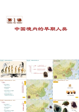 （2016年秋季版）七年级历史上册 第一单元 第1课 中国境内的早期人类课件1 冀教版