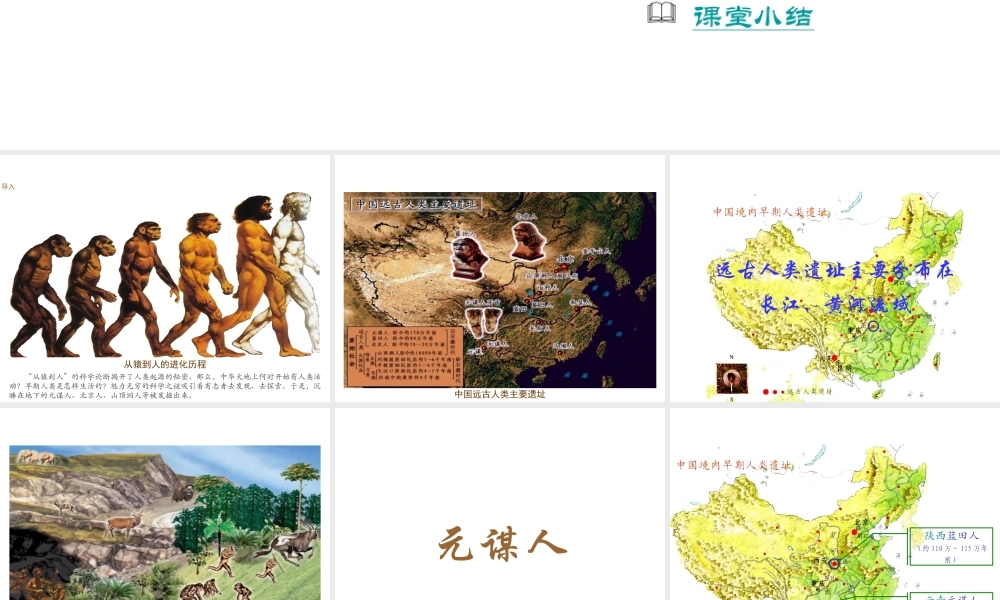 （2016年秋季版）七年级历史上册 第一单元 第1课 中国境内的早期人类课件2 冀教版