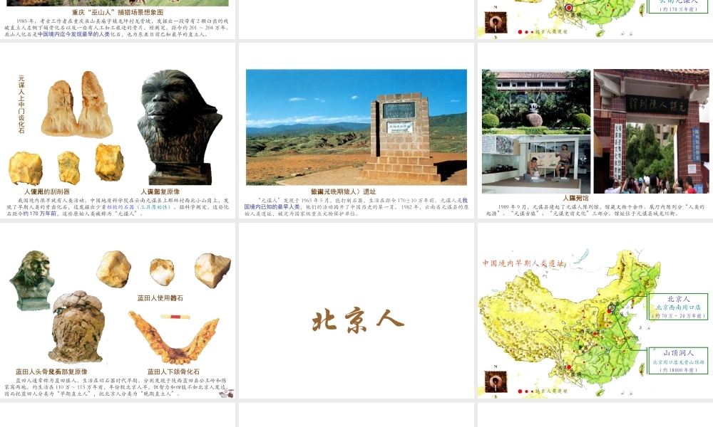 （2016年秋季版）七年级历史上册 第一单元 第1课 中国境内的早期人类课件2 冀教版