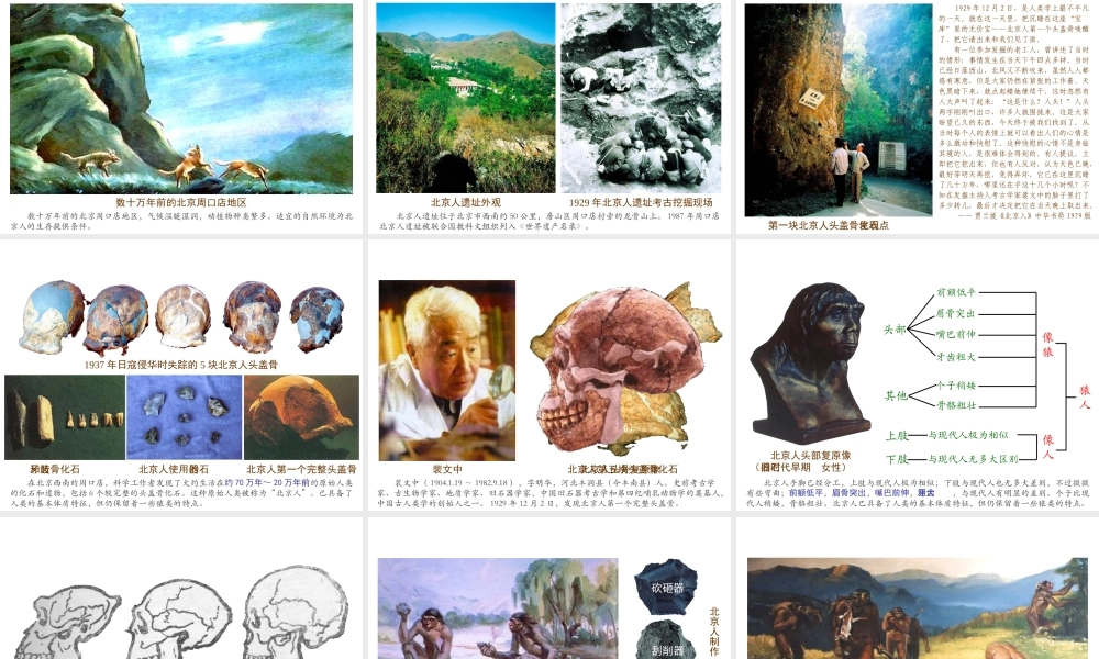 （2016年秋季版）七年级历史上册 第一单元 第1课 中国境内的早期人类课件2 冀教版