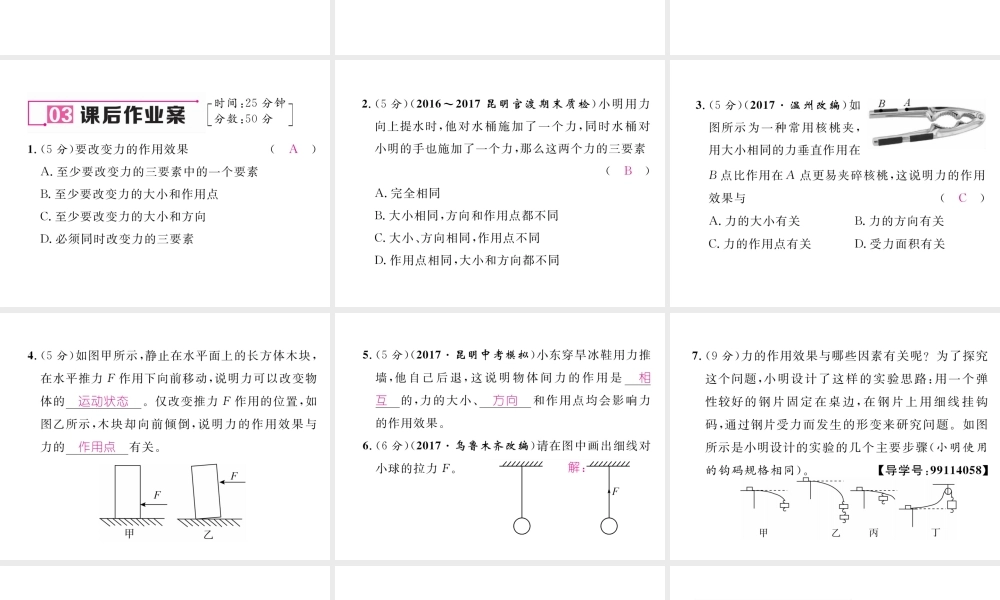 （云南专版）秋八年级物理全册 6.2 怎样描述力作业课件 （新版）沪科版-（新版）沪科版初中八年级全册物理课件