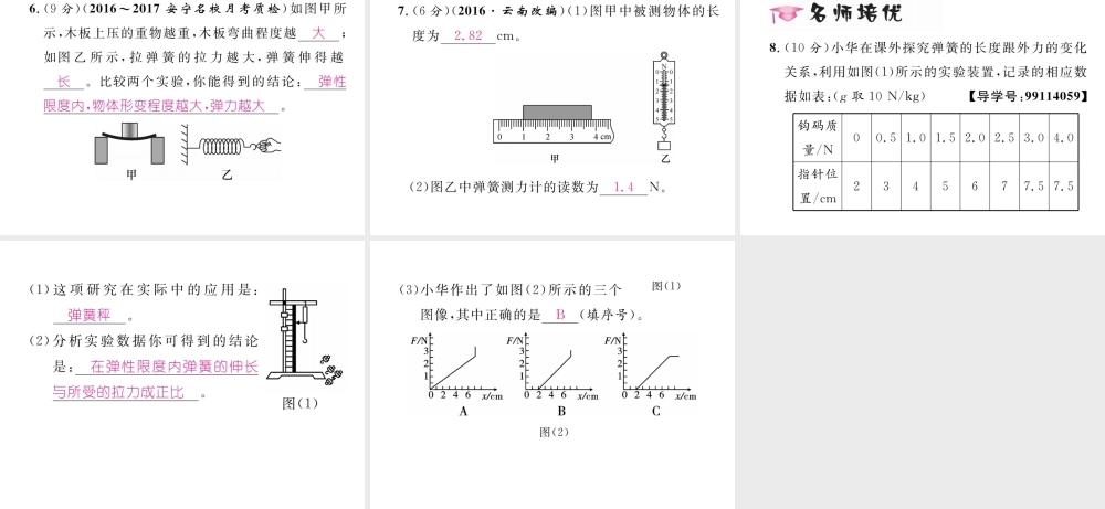 （云南专版）秋八年级物理全册 6.3 弹力与弹簧测力计作业课件 （新版）沪科版-（新版）沪科版初中八年级全册物理课件