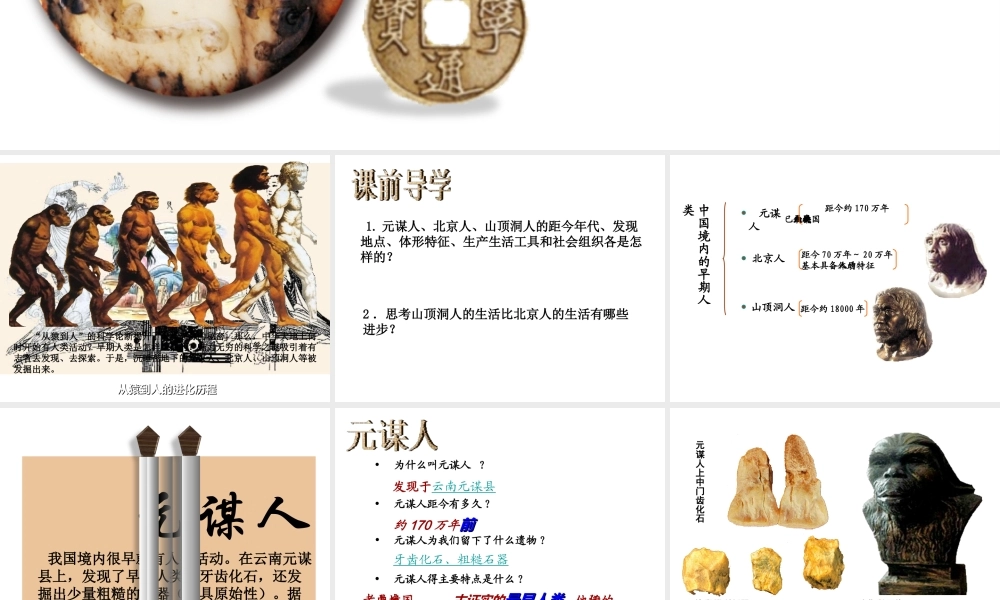 （2016年秋季版）七年级历史上册 第一单元 第1课 中国境内的早期人类课件3 冀教版