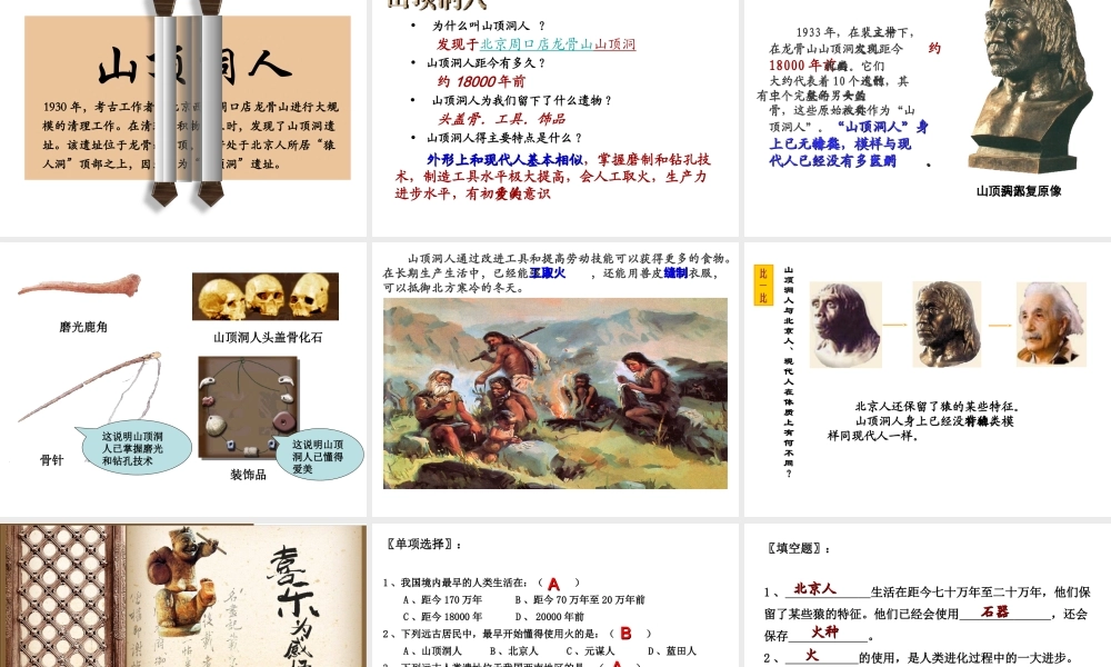 （2016年秋季版）七年级历史上册 第一单元 第1课 中国境内的早期人类课件3 冀教版