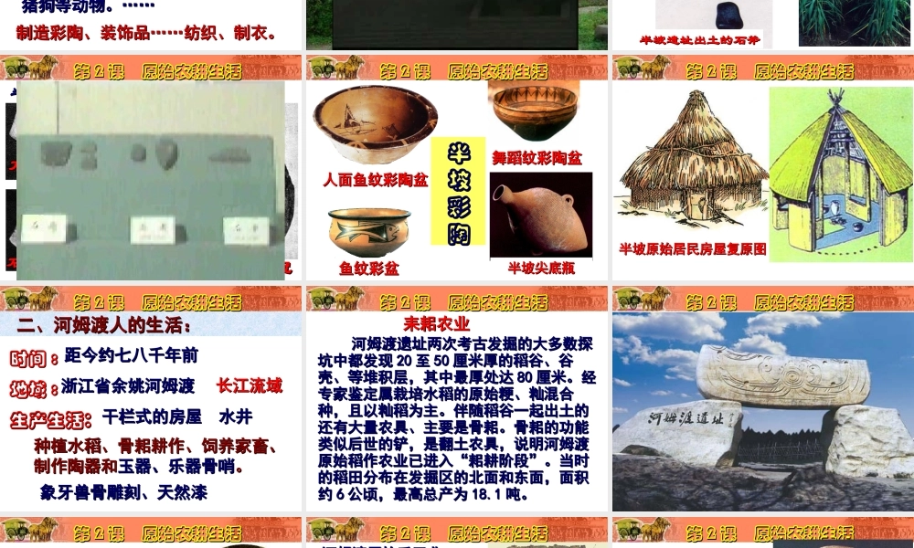 （2016年秋季版）七年级历史上册 第一单元 第2课 原始农耕生活课件 新人教版
