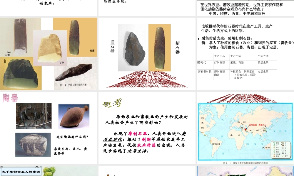 （2016年秋季版）七年级历史上册 第一单元 第2课 原始农业社会课件 冀教版