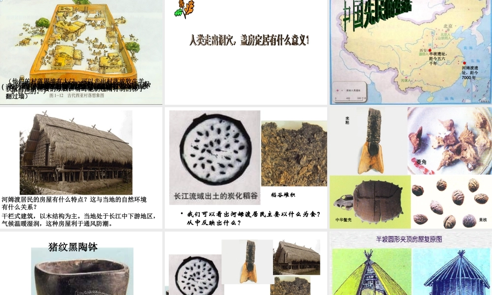 （2016年秋季版）七年级历史上册 第一单元 第2课 原始农业社会课件 冀教版