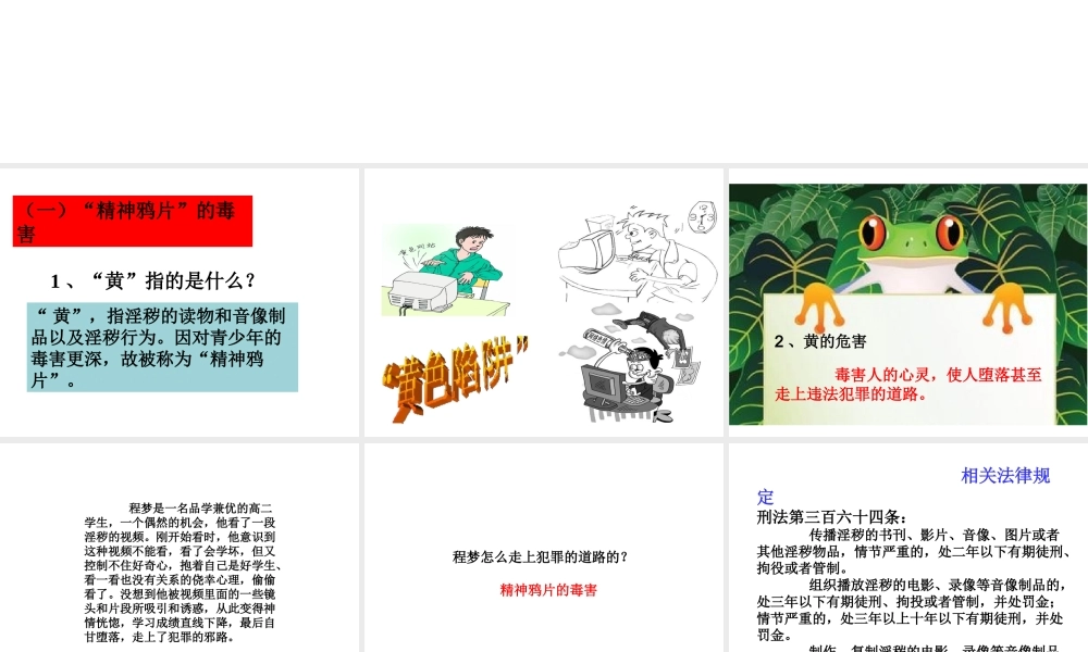 （2016年秋季版）七年级道德与法治下册 第一单元 我是自己的主人 第三课 生活中的“雷 第2框 误闯“雷区”的后果课件 人民版