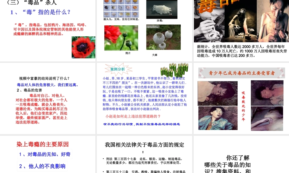 （2016年秋季版）七年级道德与法治下册 第一单元 我是自己的主人 第三课 生活中的“雷 第2框 误闯“雷区”的后果课件 人民版