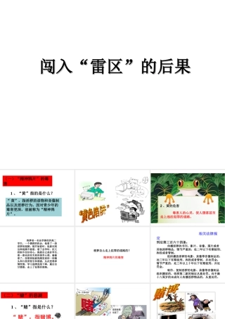 （2016年秋季版）七年级道德与法治下册 第一单元 我是自己的主人 第三课 生活中的“雷 第2框 误闯“雷区”的后果课件 人民版