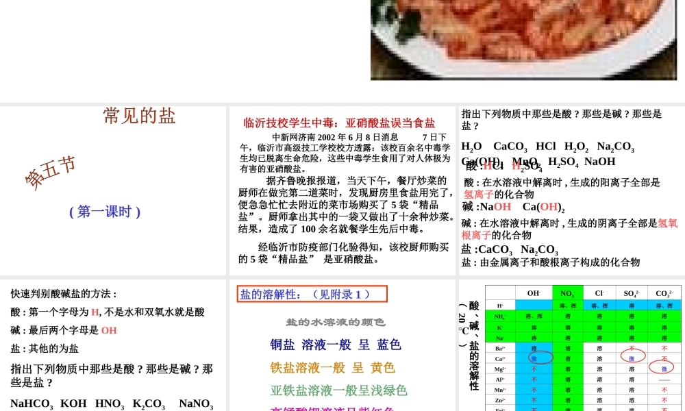 安徽省合肥市龙岗中学2014届九年级化学下册 第十一单元 课题1 生活中常见的盐课件（1） 新人教版