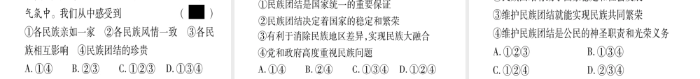 （云南专版）中考道德与法治总复习 第1篇 真题体验 满分演练 九上 第4单元 和谐与梦想 第7课 中华一家亲课件-人教版初中九年级全册政治课件