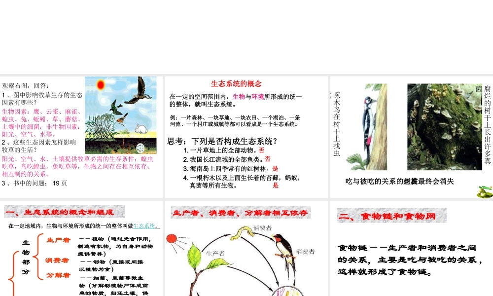 安徽省合肥市长丰县七年级生物上册 1.2.2 生物与环境组成生态系统课件3 （新版）新人教版-（新版）新人教版初中七年级上册生物课件