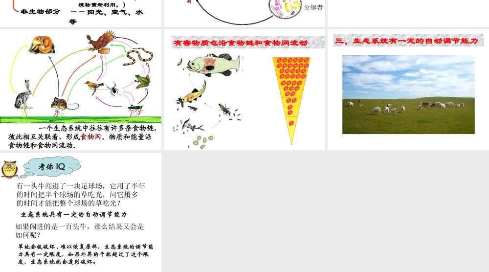 安徽省合肥市长丰县七年级生物上册 1.2.2 生物与环境组成生态系统课件3 （新版）新人教版-（新版）新人教版初中七年级上册生物课件