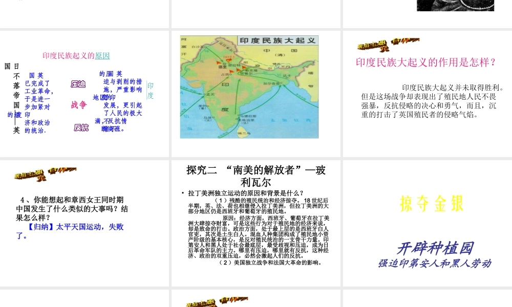 安徽省淮南市九年级历史上册 第五单元 第16课 殖民地人民的抗争课件 新人教版-新人教版初中九年级上册历史课件