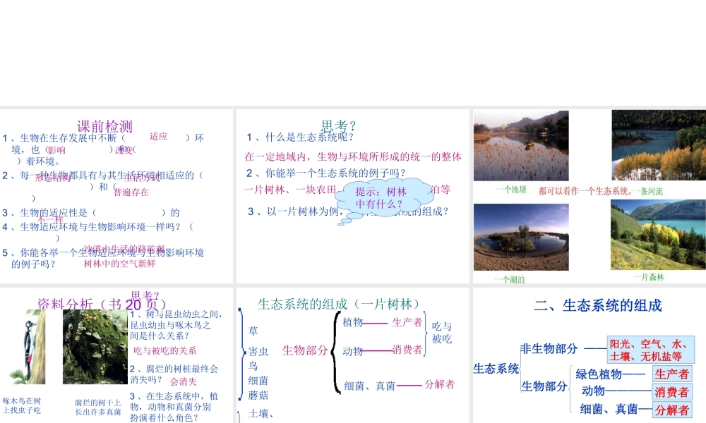 安徽省合肥市长丰县七年级生物上册 1.2.2 生物与环境组成生态系统课件4 （新版）新人教版-（新版）新人教版初中七年级上册生物课件