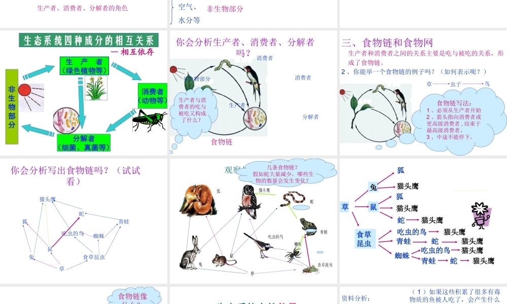安徽省合肥市长丰县七年级生物上册 1.2.2 生物与环境组成生态系统课件4 （新版）新人教版-（新版）新人教版初中七年级上册生物课件