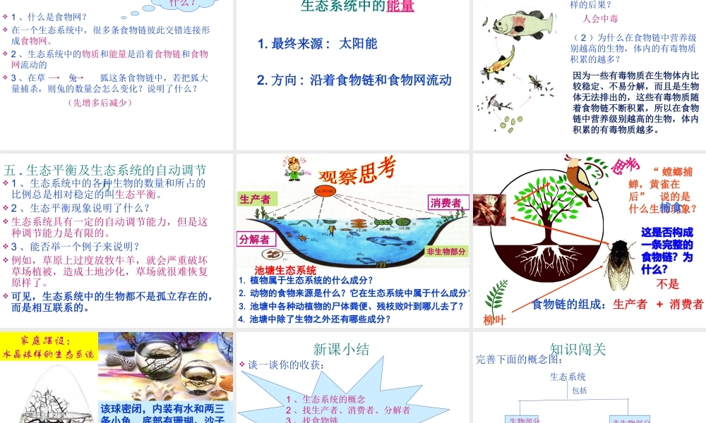 安徽省合肥市长丰县七年级生物上册 1.2.2 生物与环境组成生态系统课件4 （新版）新人教版-（新版）新人教版初中七年级上册生物课件