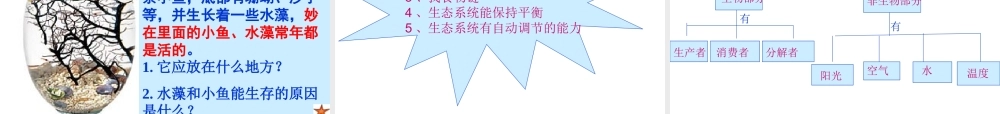 安徽省合肥市长丰县七年级生物上册 1.2.2 生物与环境组成生态系统课件4 （新版）新人教版-（新版）新人教版初中七年级上册生物课件